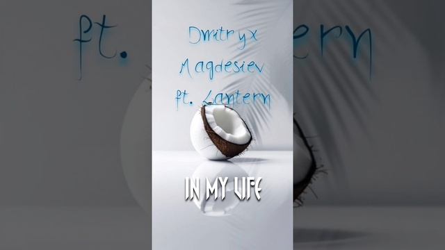 Dmitryx Magdesiev ft. Lantern - In My Life