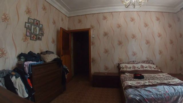 Лабрадор один дома.