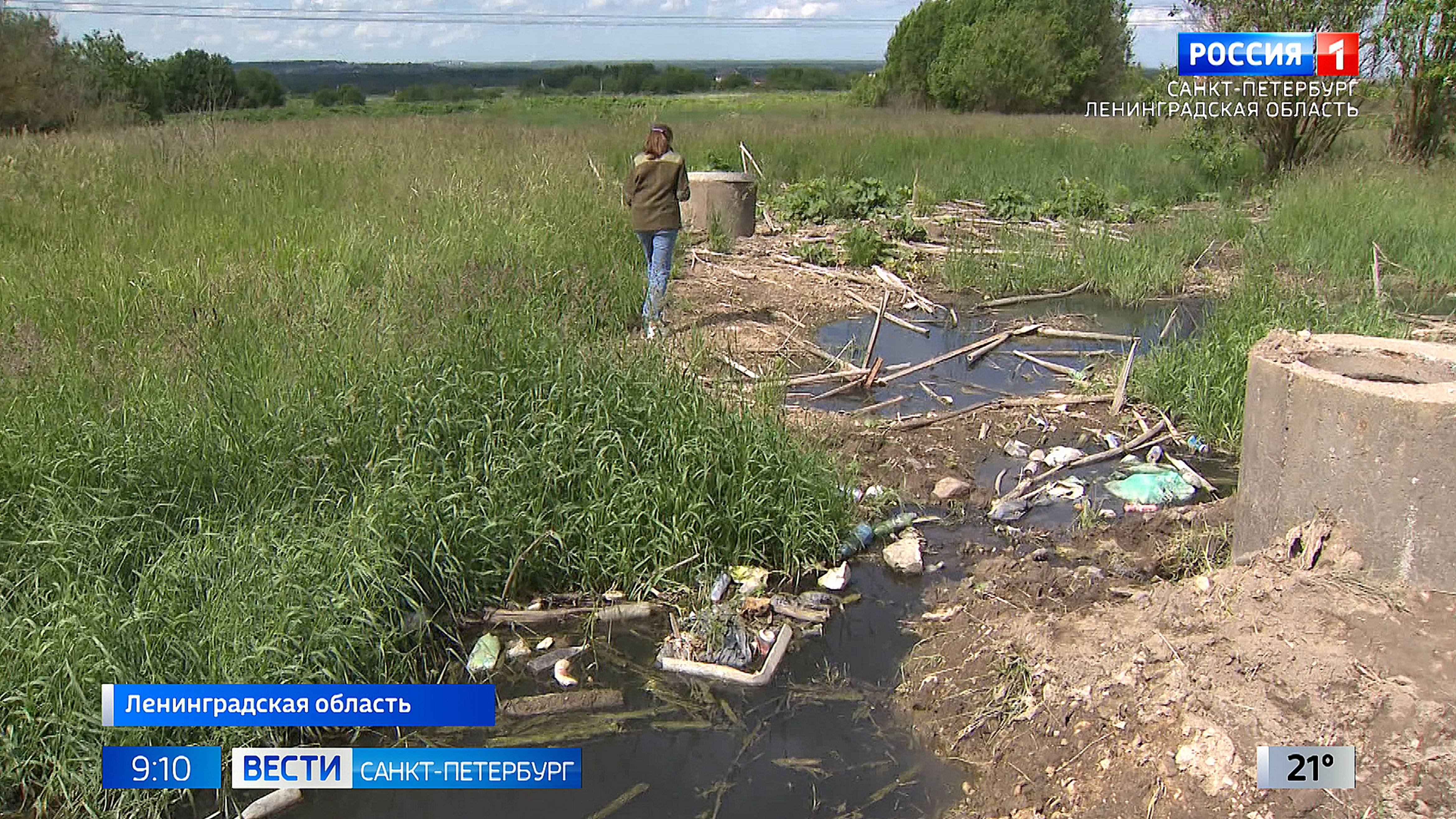 Жители Поселка Яльгелево говорят о локальной экологической катастрофе