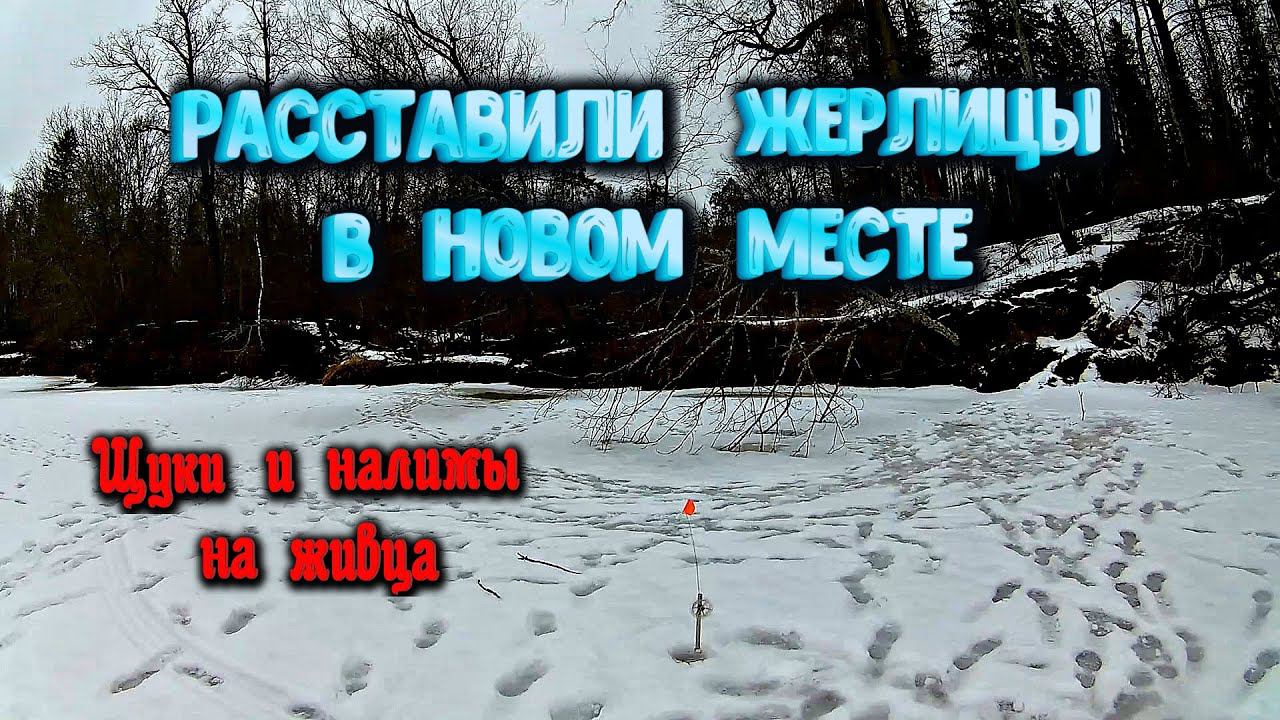 ✔️ Сработки начались как только расставились Щука,налим на жерлицы Оставили жерлицы на ночь Заяц