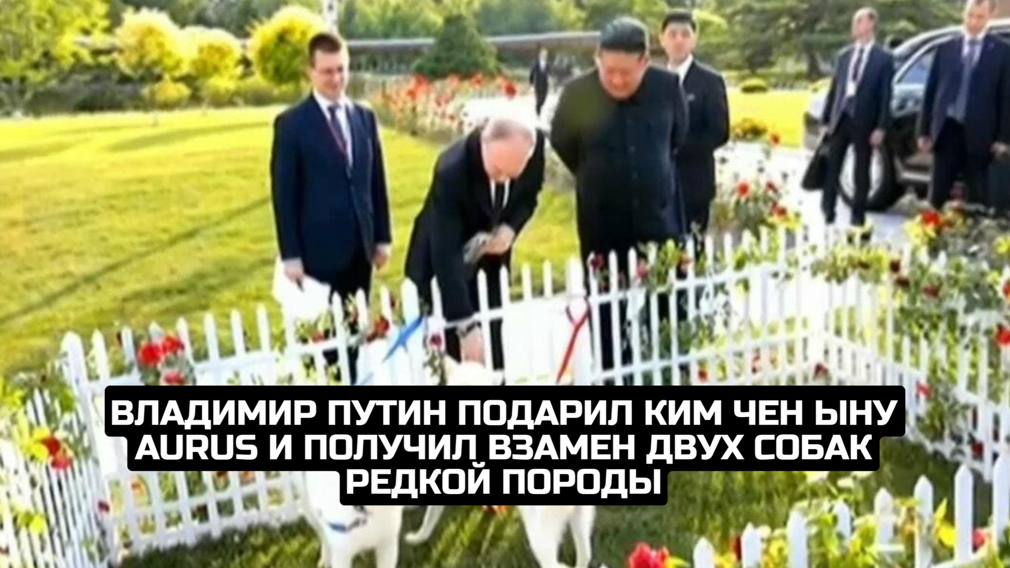 Владимир Путин подарил Ким Чен Ыну Aurus и получил взамен двух собак редкой породы