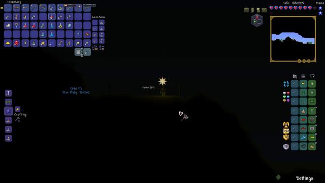 Terraria - The Dye Trader...