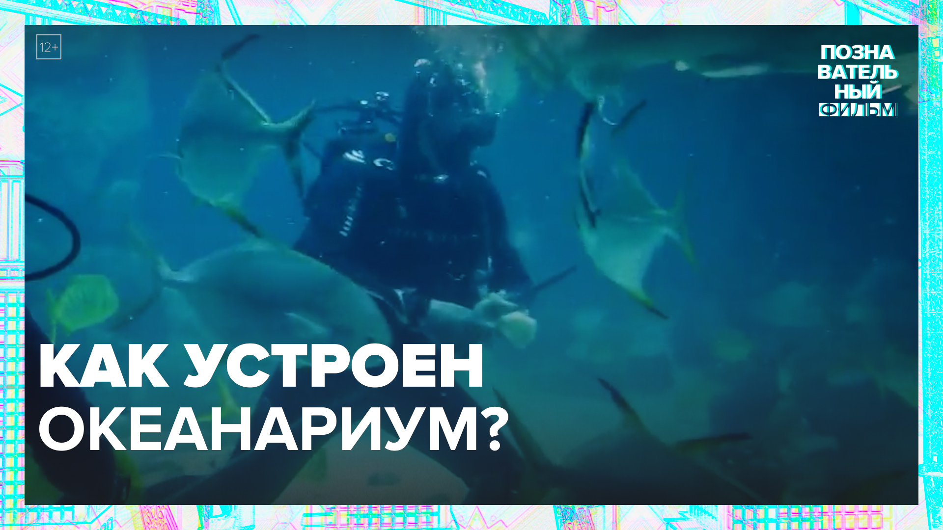 Как устроен океанариум? — Москва24|Контент