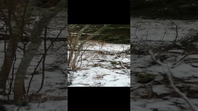 старый фундамент