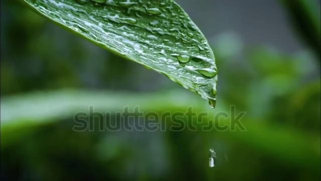 15 minutes Beautiful Meditation relax music, New Born Baby sleeping music, Binaural relax music.