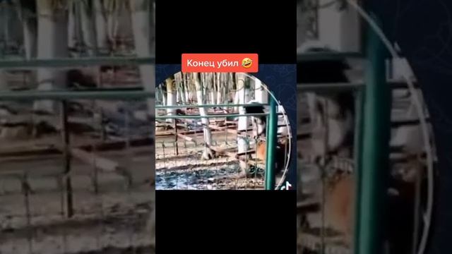 угар????