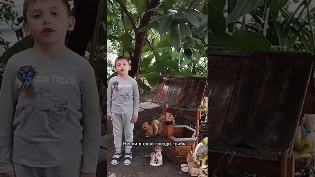 Калашников Ярослав, 6 лет