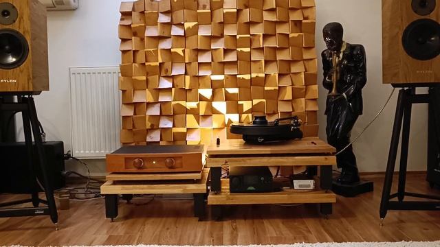 Kuzma TT Pylon Diamond monitor 18  Etalon Origo Musicante amplifier !