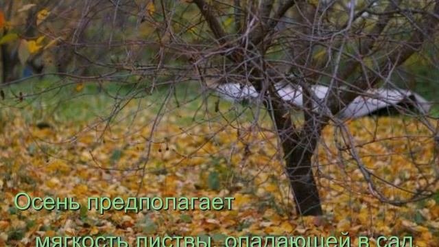 Осенний этюд