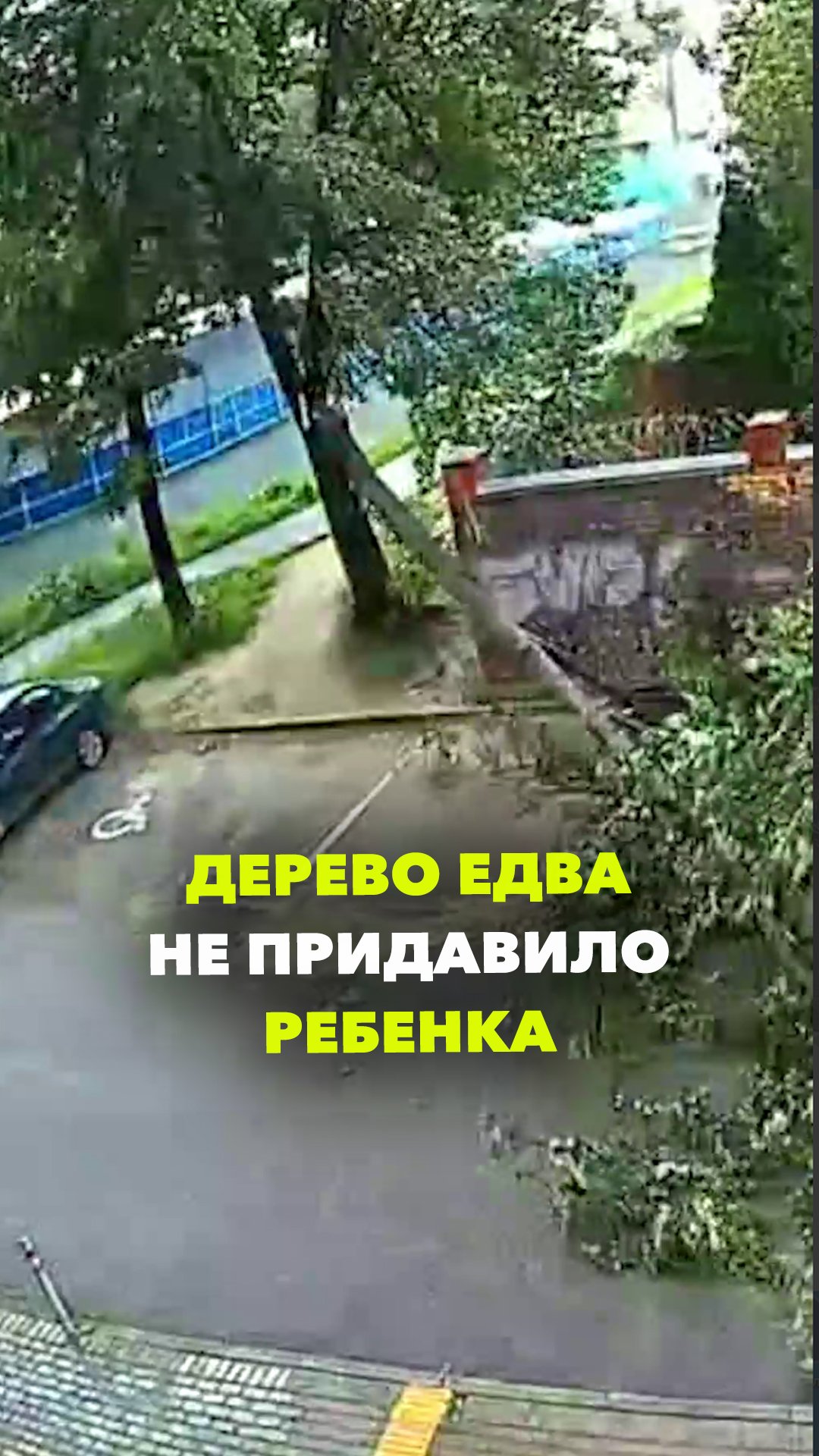 Ураган и смерч в Москве — мальчика едва не придавило дерево: видео