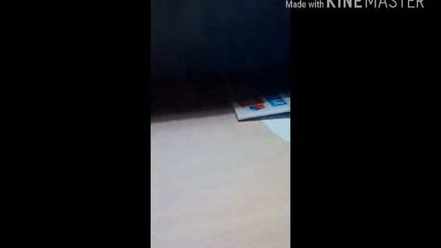 Объявление появился новый питомец