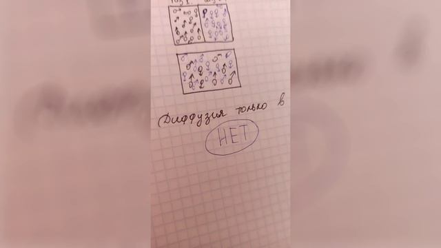 #Диффузия.mp4