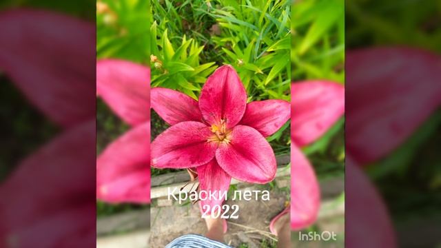 Без названия