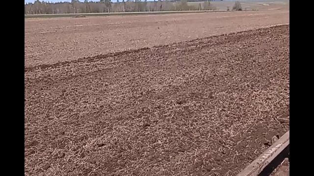 Дискование под cев яровых.mp4