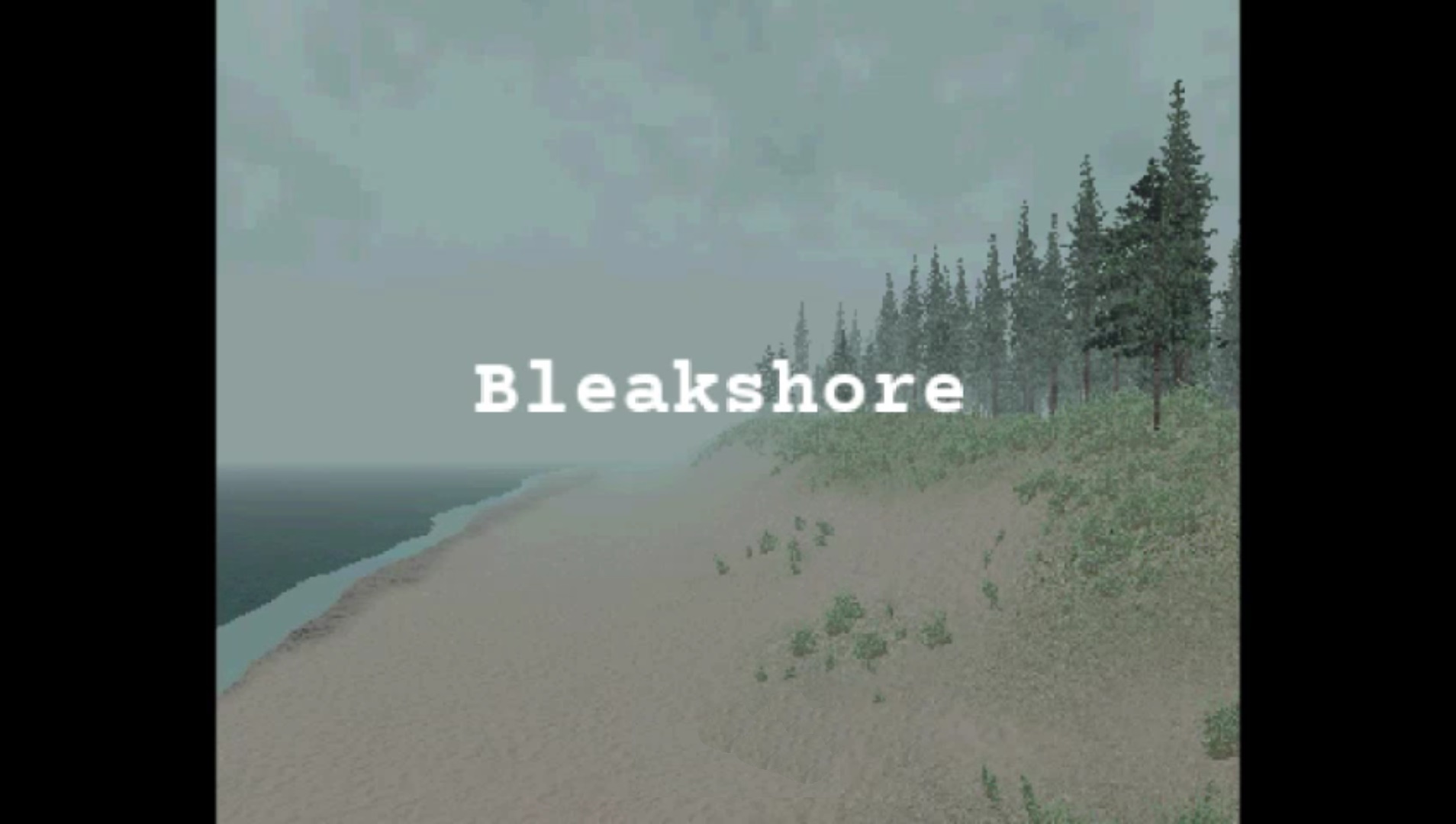 Bleakshore