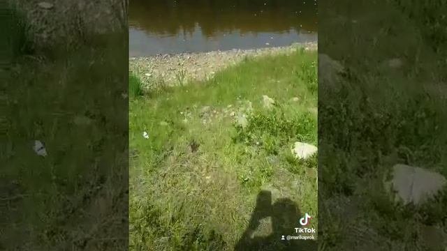 58f7d6e0d8098588c17dbfe9ec81d684.mp4