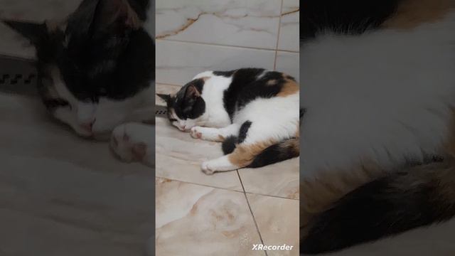 у нас очень жарко