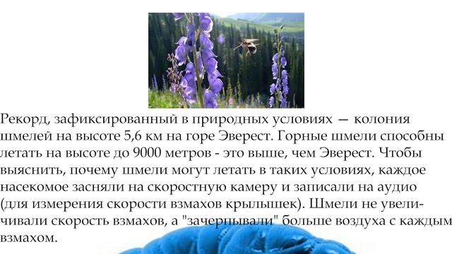 Тест на Эрудицию 14 | #интересныефакты