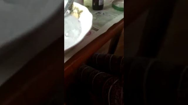 Слайм:Dove гель-крем.шампунь ONE CARE. Palmolive Men. Всё на глаз.  Вода . ростворсодавода. Клейлуч