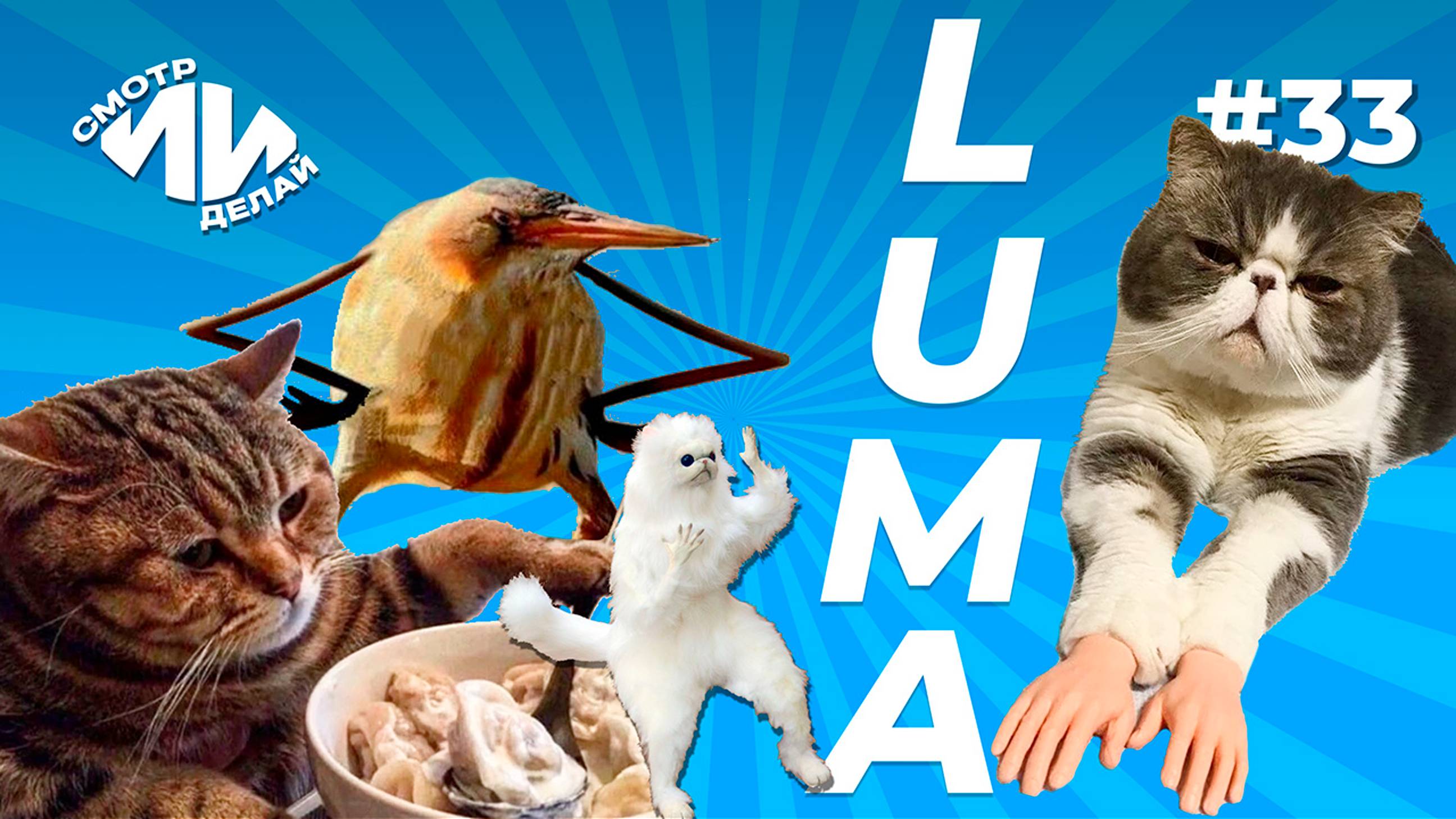 Как оживить те самые мемы в Dream Machine от Luma AI? | СмотрИИделай. Урок 33