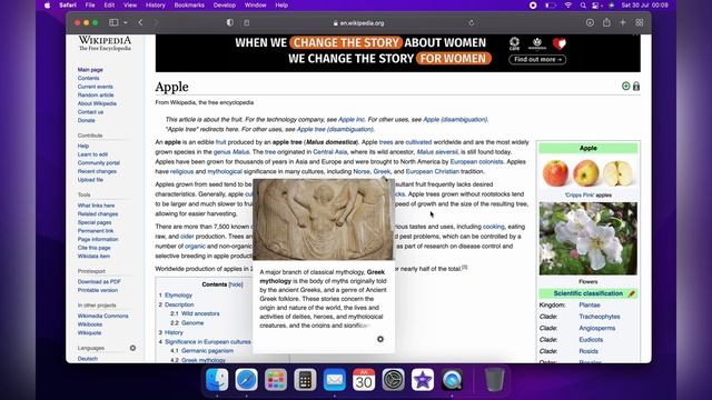 Zoom In & Zoom Out with Tap Gestures on MacBook