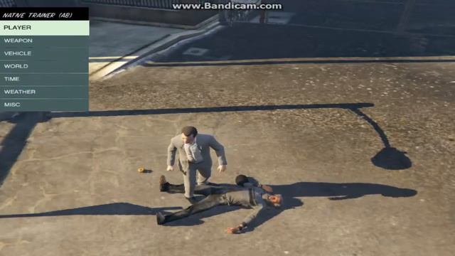 GTA V обзор модов #2 ( классный дельфин )