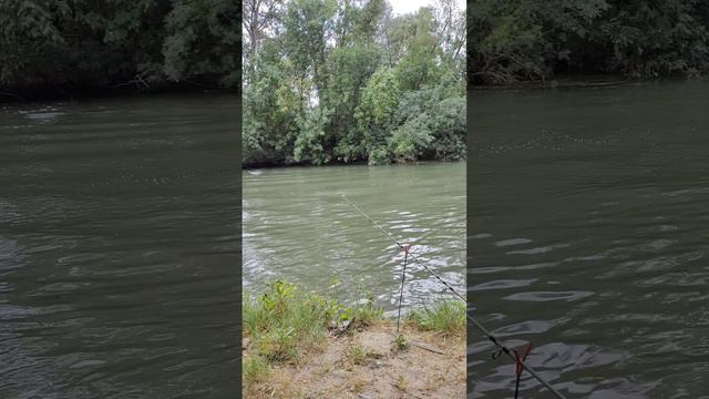 Релакс у воды
