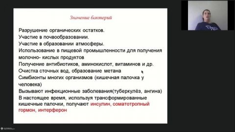Онлайн-школа СПбГУ 2022/2023. 7 класс. Биология. 22.10.2022