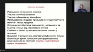 Онлайн-школа СПбГУ 2022/2023. 7 класс. Биология. 22.10.2022