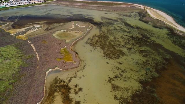 Wetland of Oropos, Attica - Greece [4k] ~Υδροβιότοπος Ωρωπού~