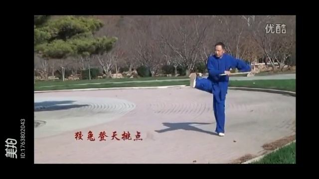 Мастер Чэнь Чжэньшэн, комплекс Толобянь. Часть 8 из 10. Замедленное.