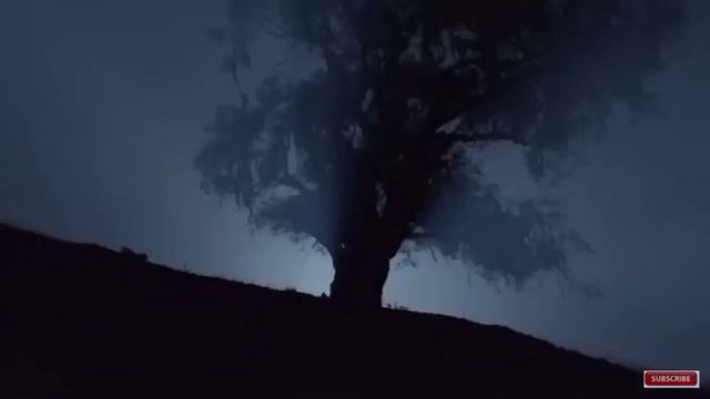 Budweiser Lost Puppy Commercial Change Speed 1.20
