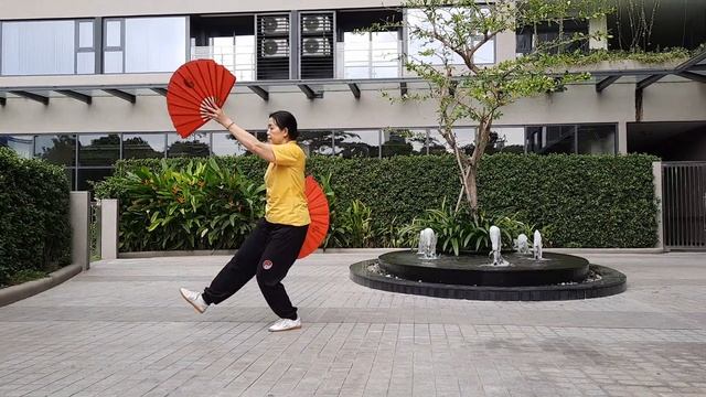 Taichi double fan 48 forms