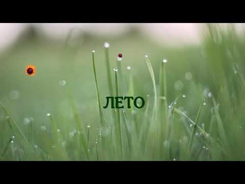 Антон Кушников - "Лето"