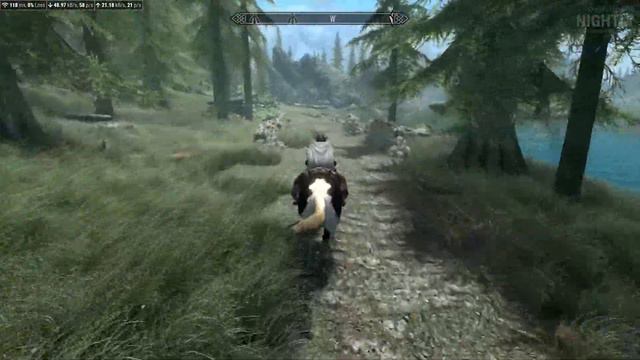 Skyrim Together - #8