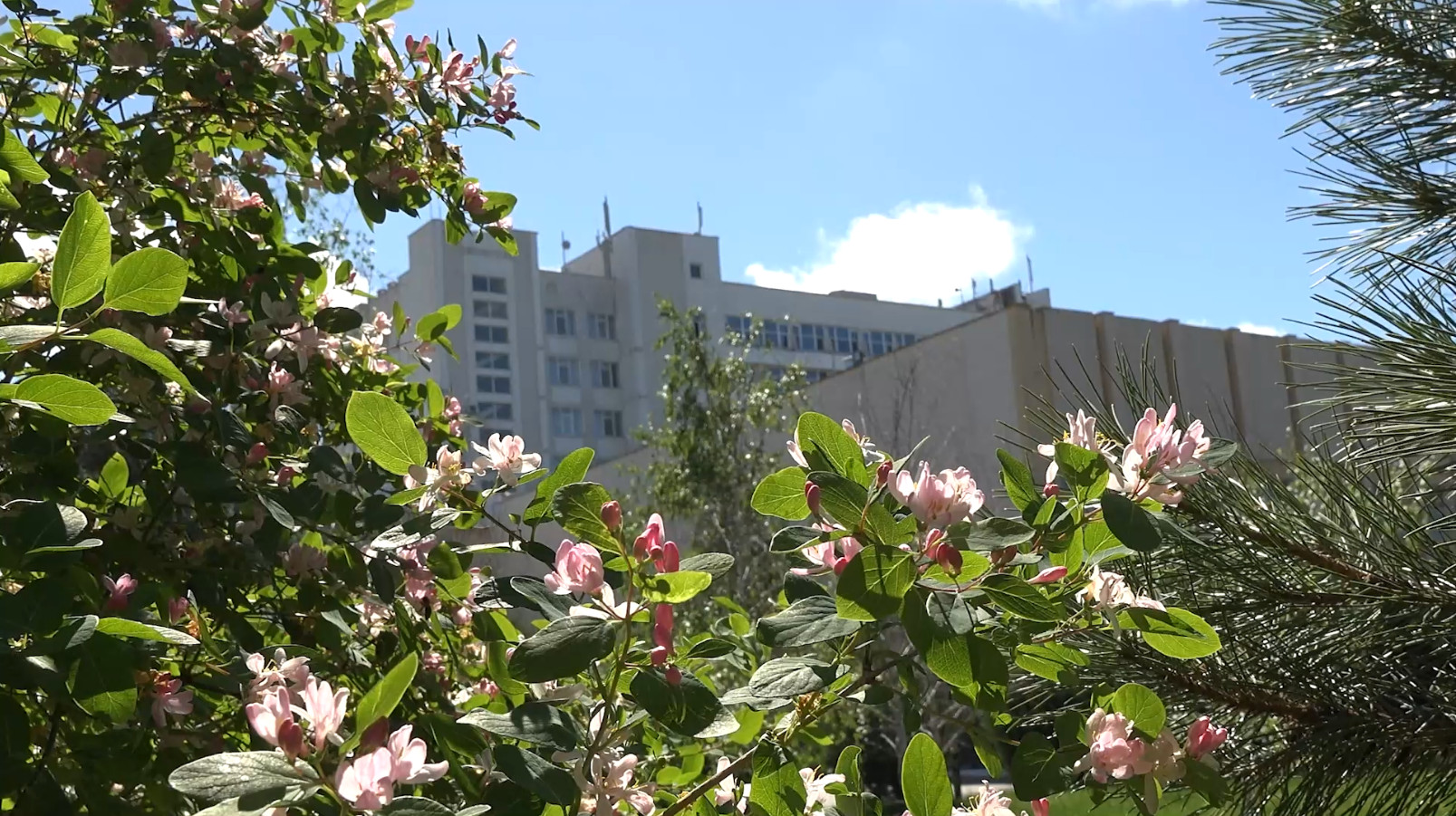 🌸 Ароматы цветущей весны в санатории Пирогова🌸 Релакс🌸