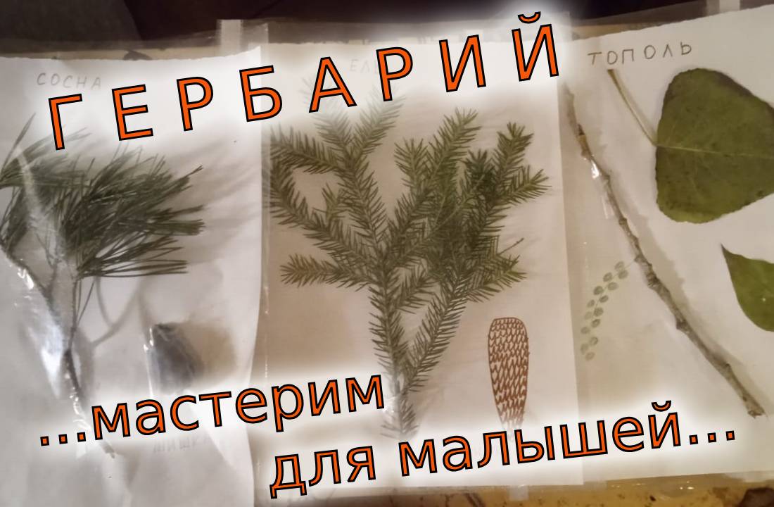 Делаем гербарий для малышей из листьев и веточек