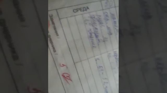 Мои оценки во 2 классе