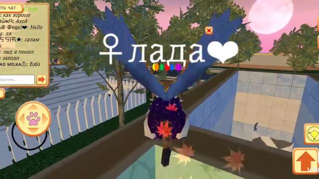 Игра про котиков обнова+хожу через стены😂