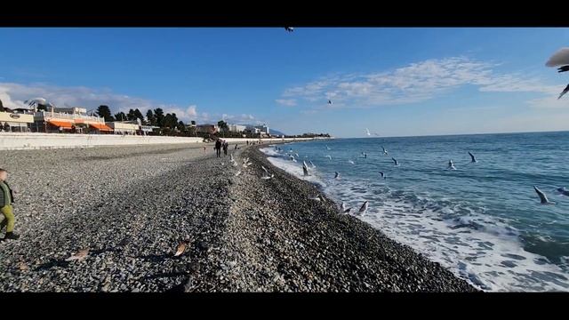 ЗВУКИ МОРЯ. РЕЛАКС. ТЕБЕ ПОНРАВИТСЯ