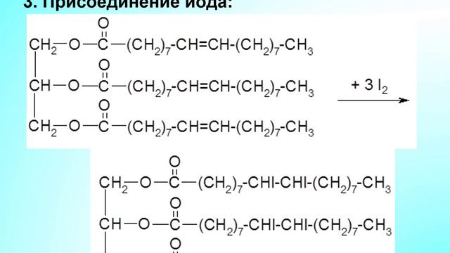 Липиды ЕГЭ Высокий ур