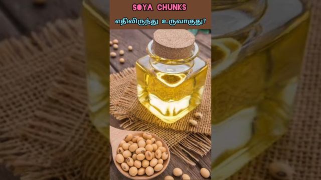 How Soya Chunks are made in tamil? #shalinidiary @shalinidiary