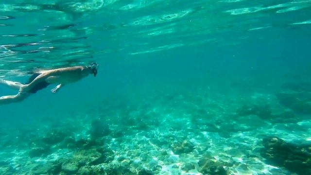 Shark point at phi phi Don