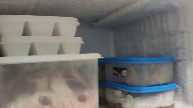 Panasonic Inverter Refrigerator: NR-AQ211VS - Average 150php For 30 Days Of Use.