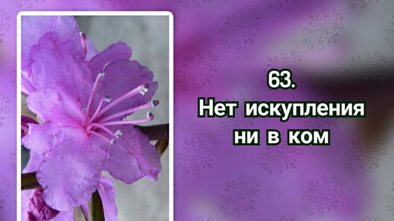 Гимны надежды 63 Нет искупления ни в ком (-)