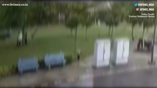 Lightning Struck four people standing under a tree in Gurugram