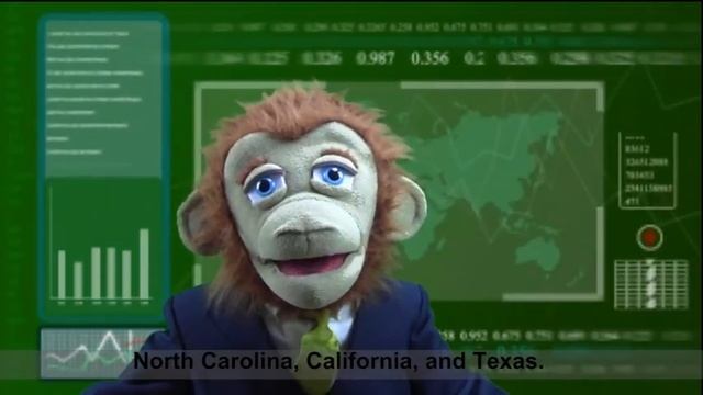 S1E13 - MB | Outlandish Tax Deductions | Housing Starts | Stock Market News | Puppet Series