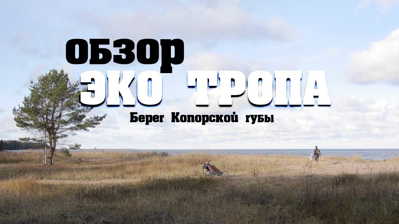 Могло быть лучше!| Берег Копорской губы #экотропа #кудапойти