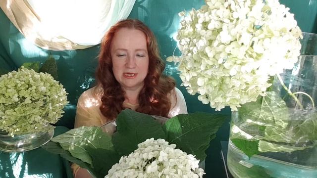 Внутри или снаружи