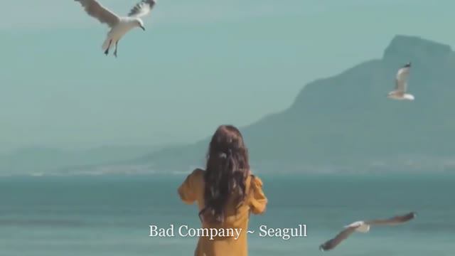 Bad Company ~ Seagull